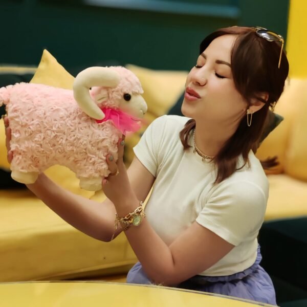 IMG-20251228-WA0200 The Classic Eid Sheep Plush